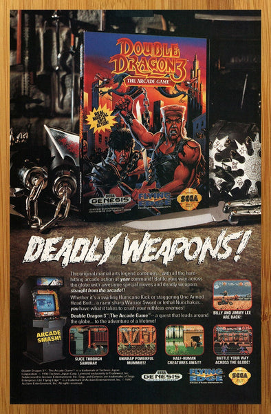 DOUBLE DRAGON (1987): Brotherhood & Brawls